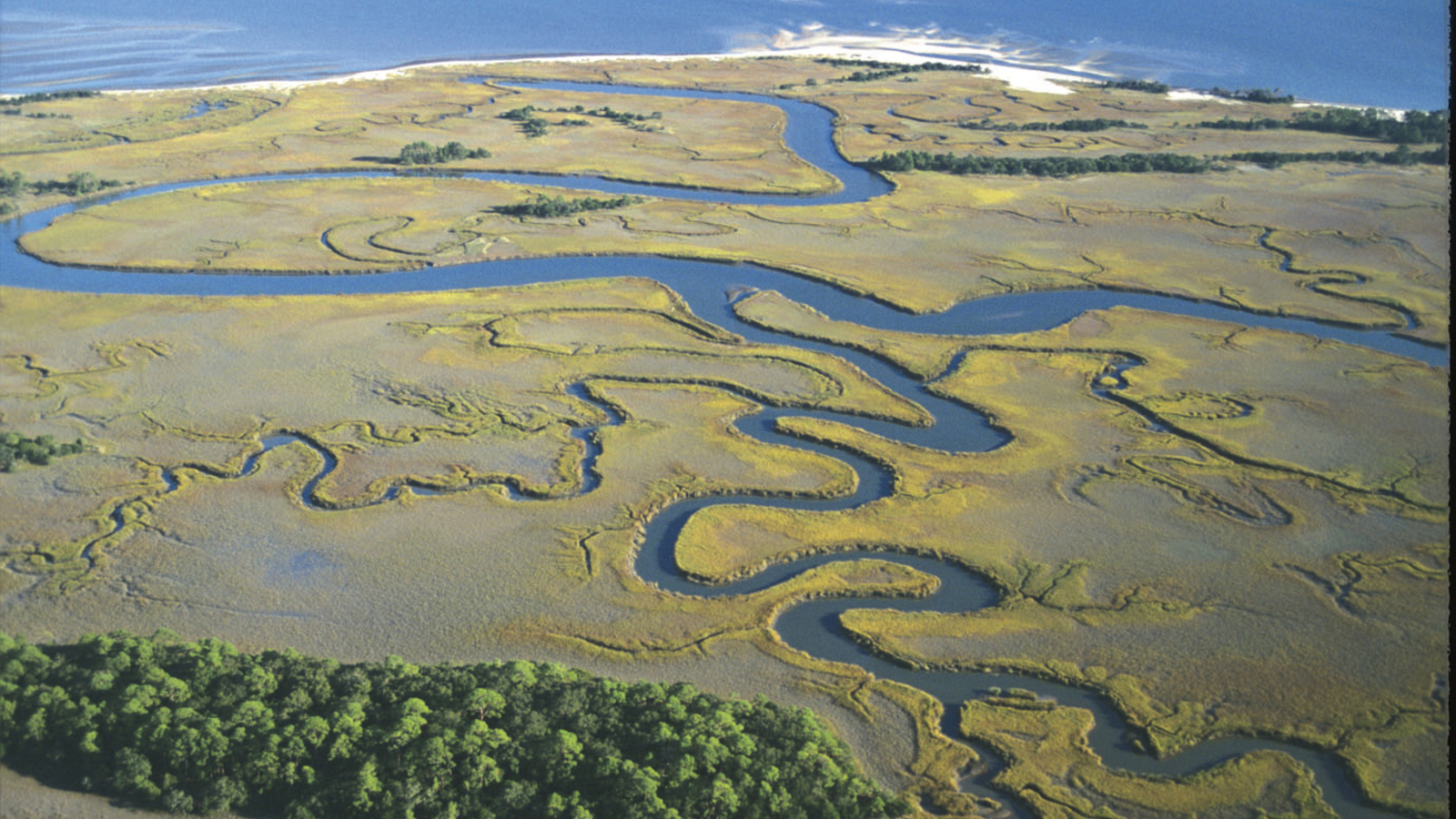 Aerial view of twisting streams on Otter Island. This is an example of a coastal wetland area, which supports a large amount of fish species and helps shelter coastal communities from storms- South Carolina has the largest amount of salt marsh area in the East Coast. Photo © Tom Blagden