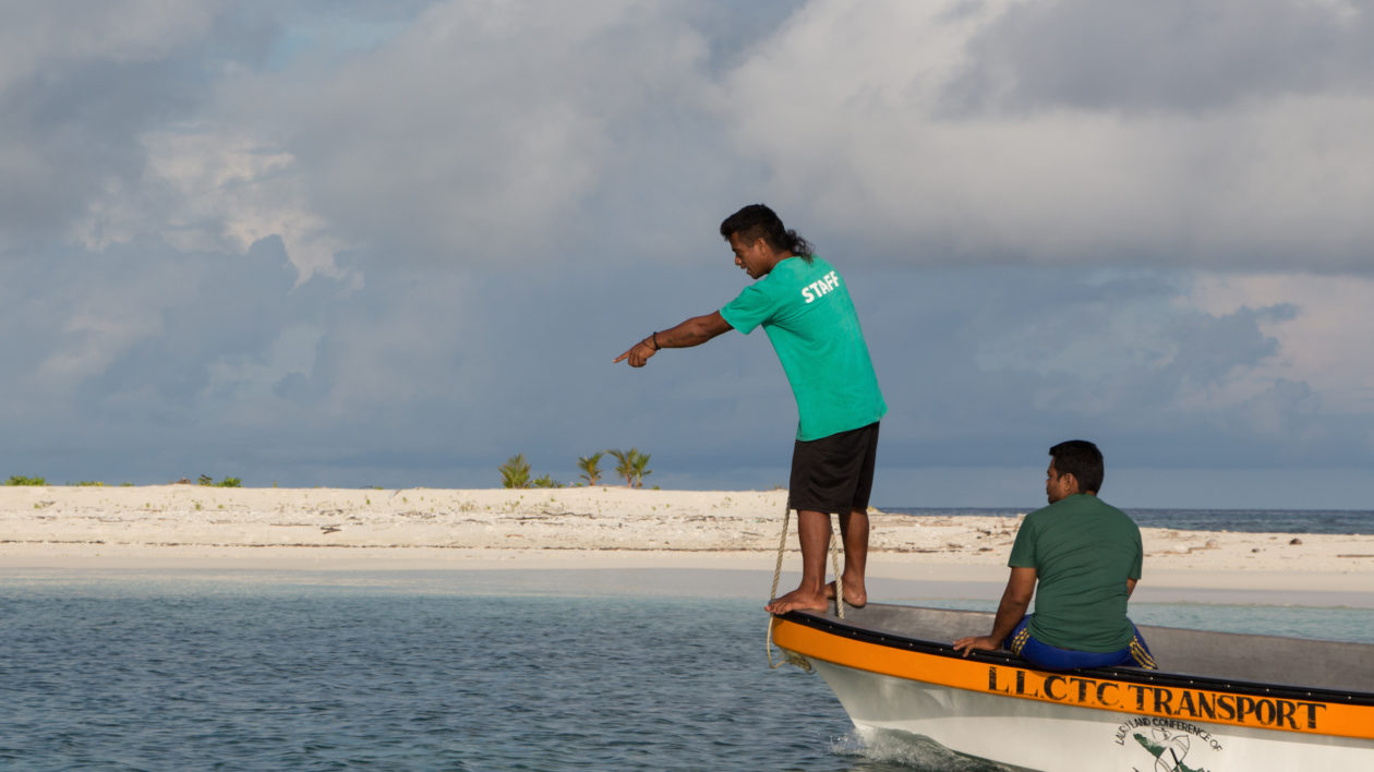 Andre Robo directs the boat driver towards a juvenile green turtle. Photo © Justine E. Hausheer / The Nature Conservancy