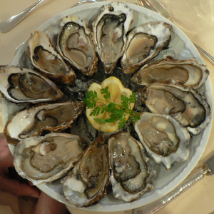 Oysters in circle on plate. Photo © Claude Covo-Farchi - Flickr, CC BY-SA 2.0