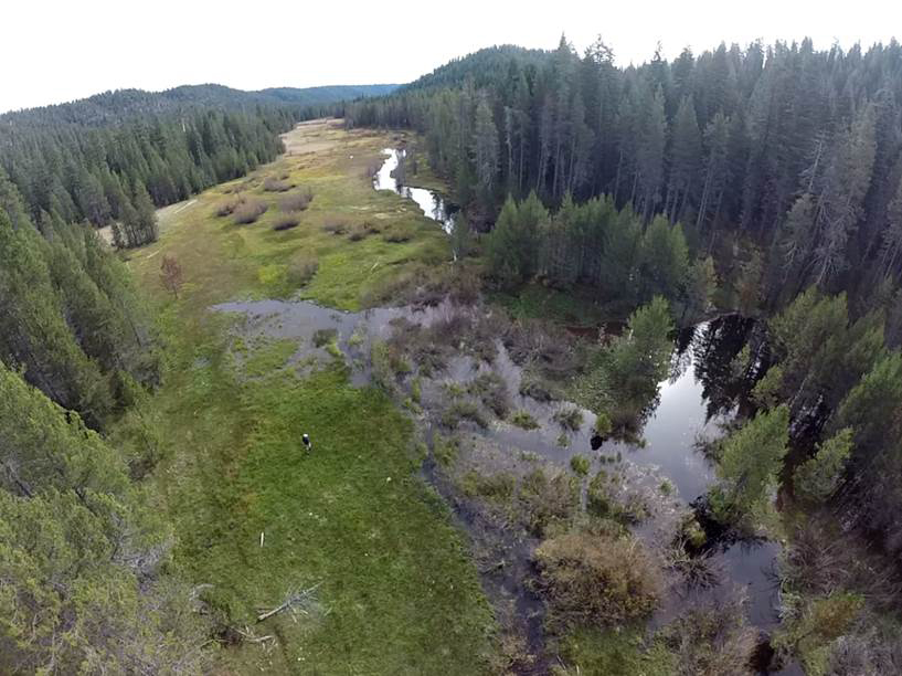UAV photo of stream with existing beaver ponds downstream of the previous photo, note the ponded water and green vegetation last October 2015 during a drought. Photo © Chris McColl
