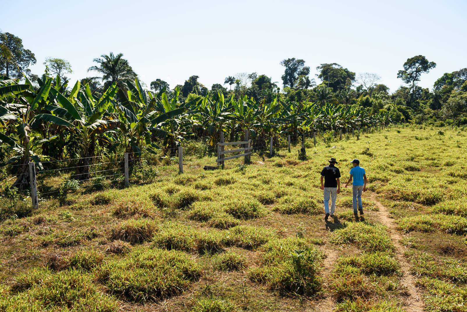 Deniston Mariano Dutra and Matheus Correia Dutra walk along a reforested area in São Félix do Xingu. The Nature Conservancy is working with this family and other farmers on increasing food production while reversing habitat loss. Photo © Kevin Arnold