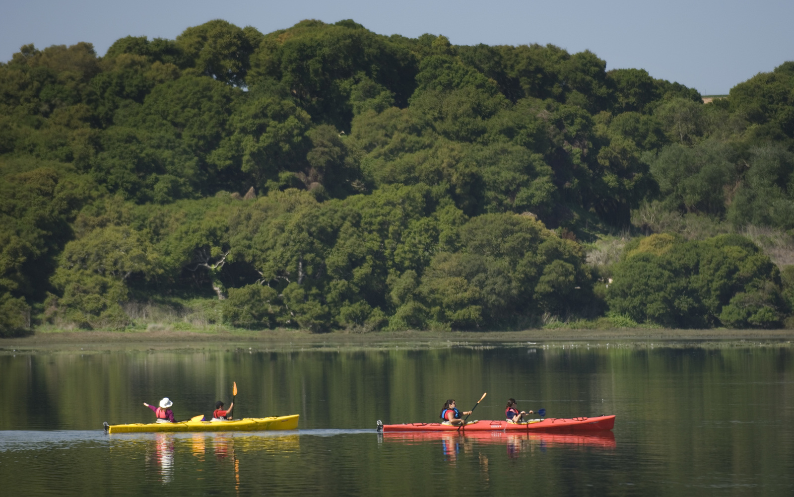Kayaks on Elkhorn Slough, the largest tract of tidal salt marsh in CA outside of San Francisco Bay. The Conservancy's Porter Ranch and other properties overlook and buffer Elkhorn Slough. ©Mark Godfrey/TNC
