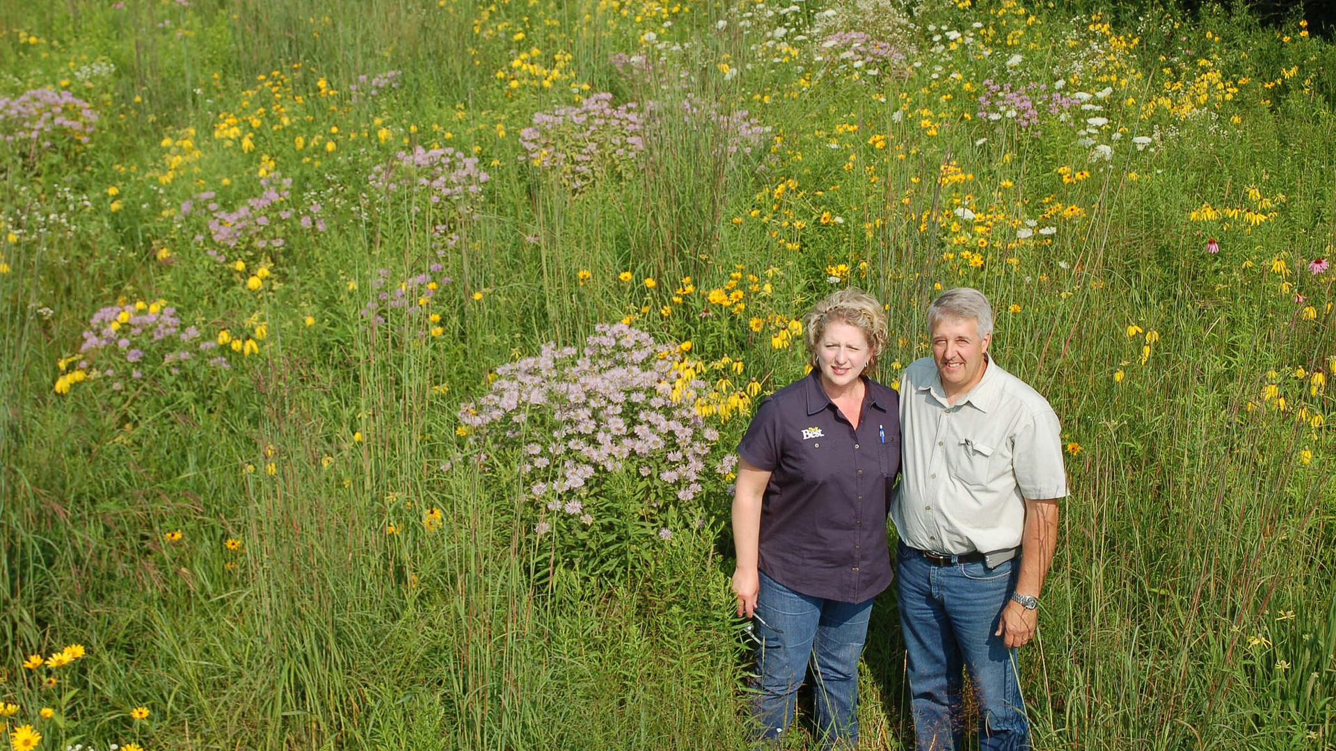 Paul and Becky Rogers converted 14 acres of land in Kent County Michigan to native pollinator habitat seven years ago through the U.S. Department of Agriculture’s (USDA) Farm Service Agency (FSA) State Acres for Wildlife Enhancement (SAFE) program. Photo © USDA / Flickr through a Creative Commons license 