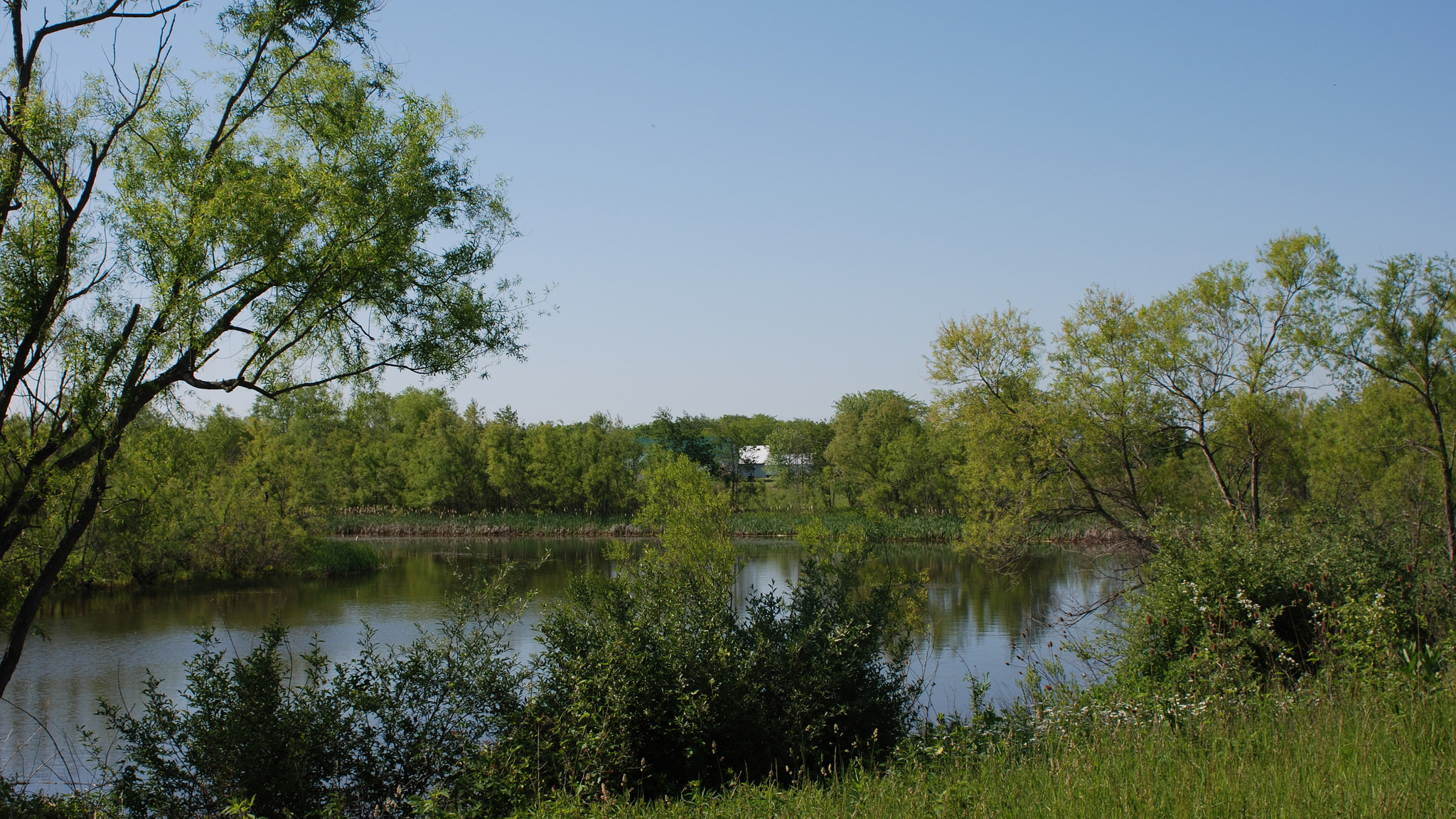 Gail Dunlap used the U.S. Department of Agriculture's (USDA) Conservation Reserve Program (CRP) to implement many conservation practices on her land, including restoring nearly seven acres of wetlands on one of her Ohio farms. Photo © USDA / Flickr through a Creative Commons license 