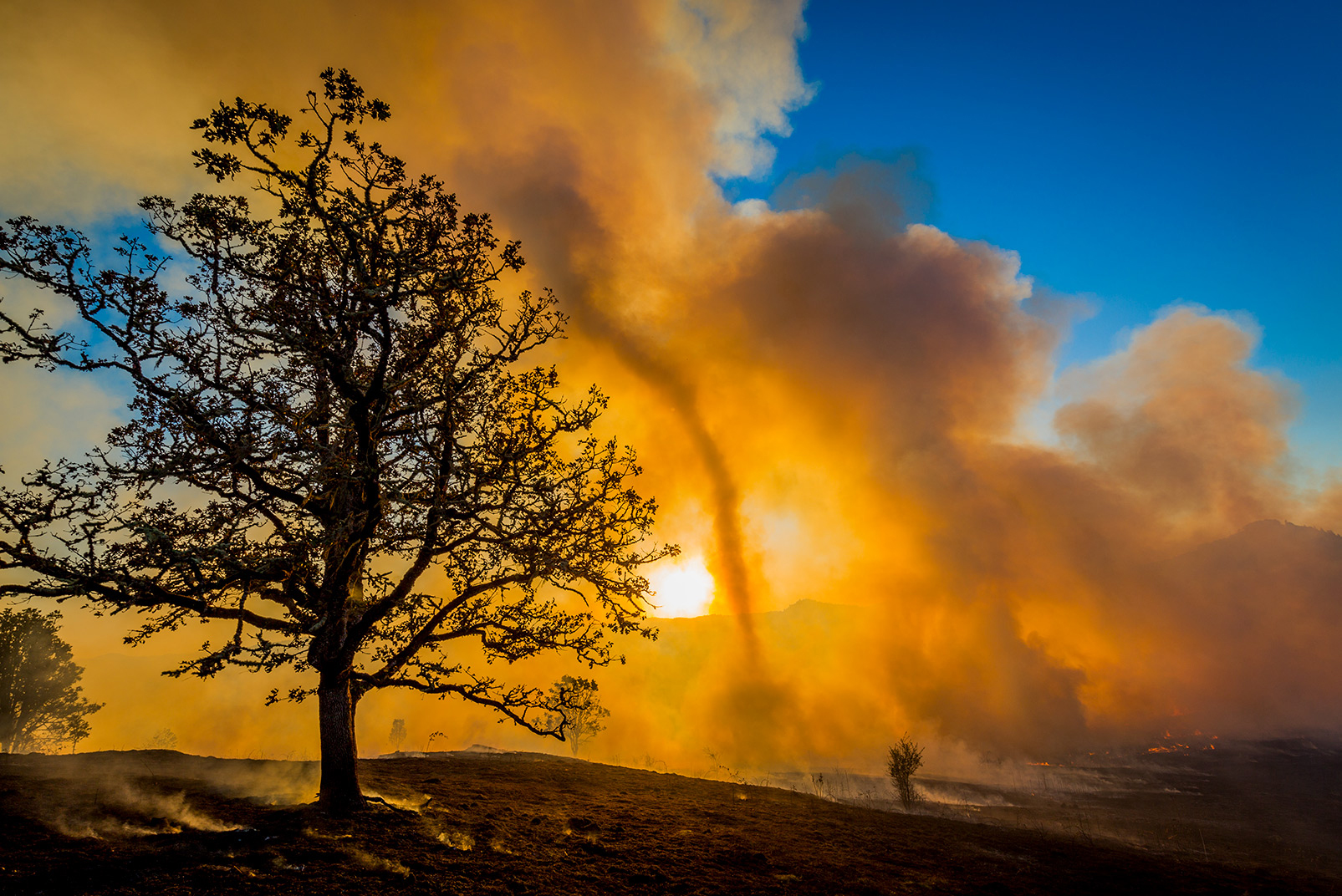 Ever “The Artist,” Houston was amazed by how fire affected images: The intense heat distorted focus and smoke softened sunlight. Houston experimented artistically with those natural effects, here in the Willamette Confluence Preserve. Photo © Jason Houston