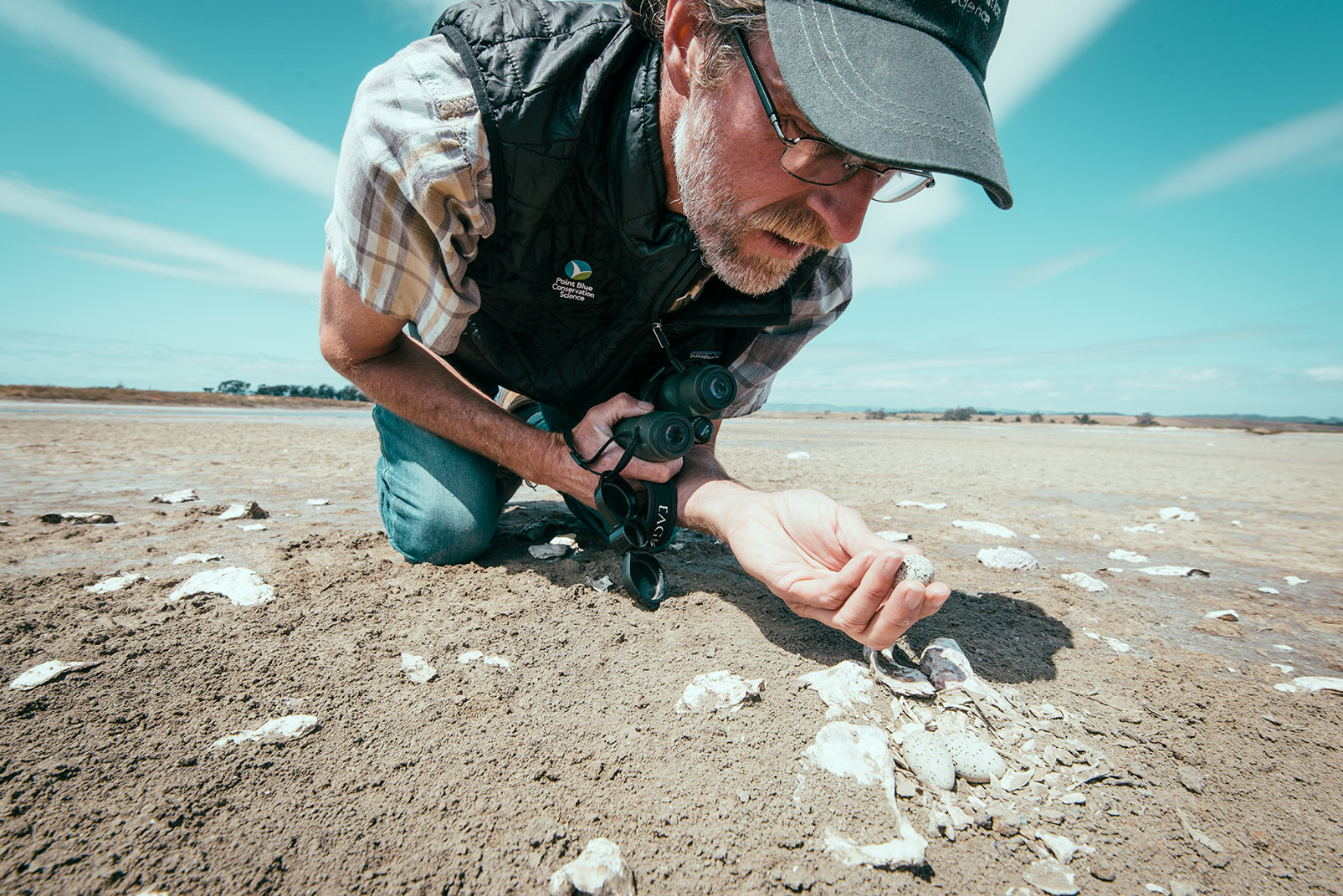 Biologist Carleton Eyster studies a near-threatened snowy plover egg and nest site on the lower Elkhorn Slough. Snowy plovers are especially vulnerable to human activities because they breed and build their nests on the ground. Eyster works at the nonprofit Point Blue Conservation Science to help plovers and other wildlife in similarly vulnerable situations. Photo © Kiliii Yuyan