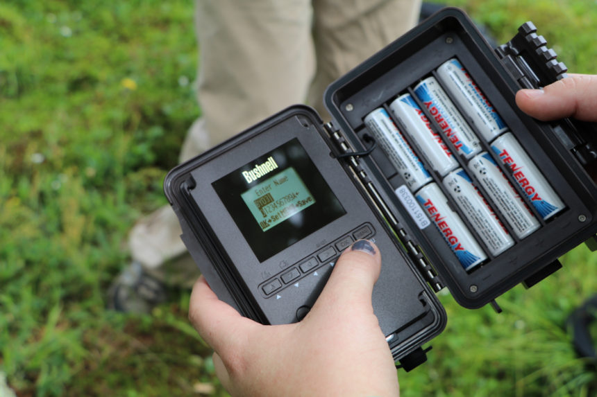 Rechargeable lithium-ion batteries power monitoring technology many Conservancy scientists use in the field. If the batteries could be smaller and more efficient, tools like this remote camera trap could be smaller and lighter, and last longer in the field. © The Nature Conservancy (Cara Byington)