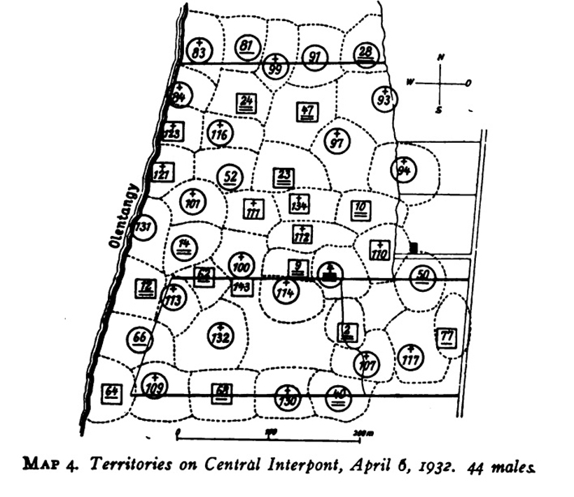 Territories map from Studies in the Life History of the Song Sparrow.