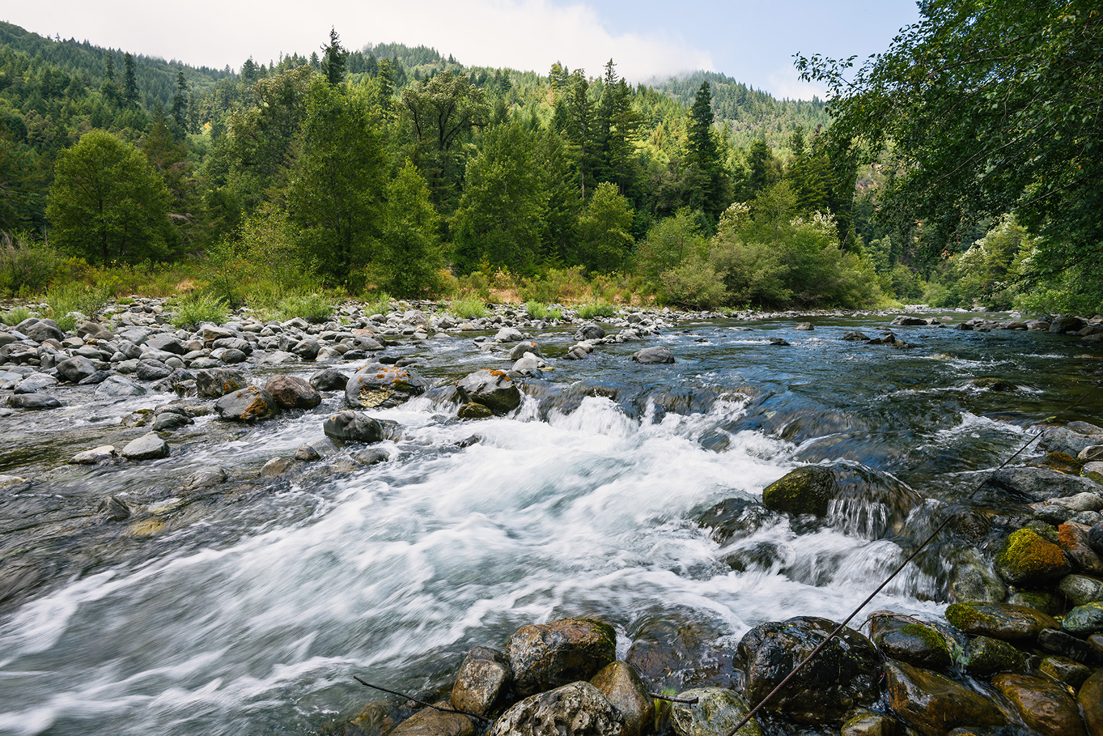Blue Creek is a tributary to the Klamath River and a major salmon-spawning ground in Yurok Territory. Restoring the forest along the creek helps protect that spawning area as well as the Klamath itself, which is integral to the Yurok culture. Photo © Kevin Arnold