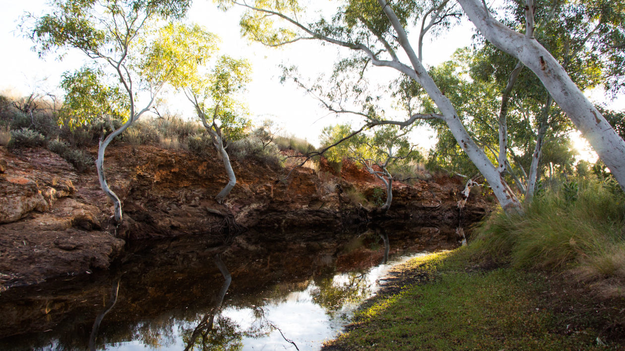 Little Cliff waterhole on Martu country. Photo © The Nature Conservancy (Justine E. Hausheer) 