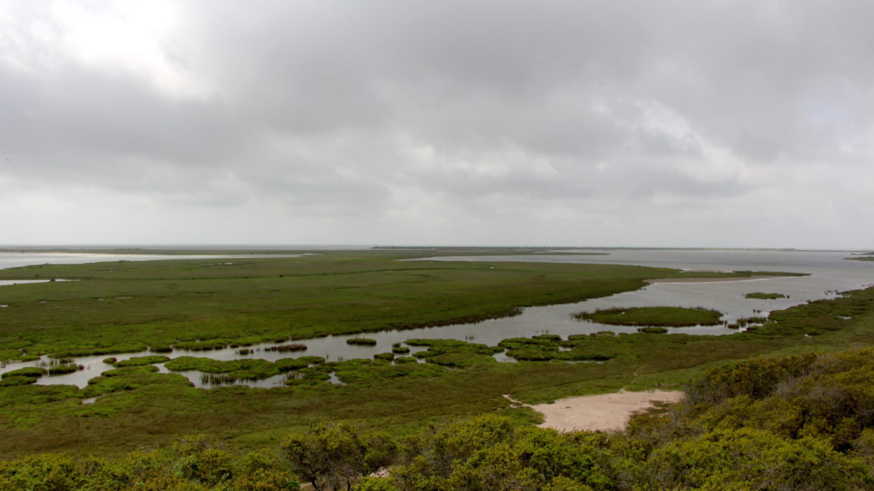Coastal marshland habitat at Aransas National Wildlife Refuge. Photo © The Nature Conservancy (Justine E. Hausheer) 