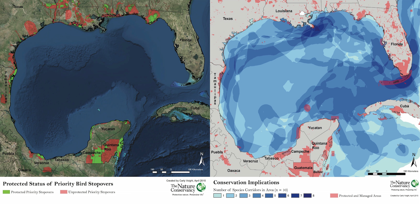 Left: Status of protected areas for report bird species in the Gulf. Right: Overlay of all corridors for report marine species and protected and management areas. Map © The Nature Conservancy 