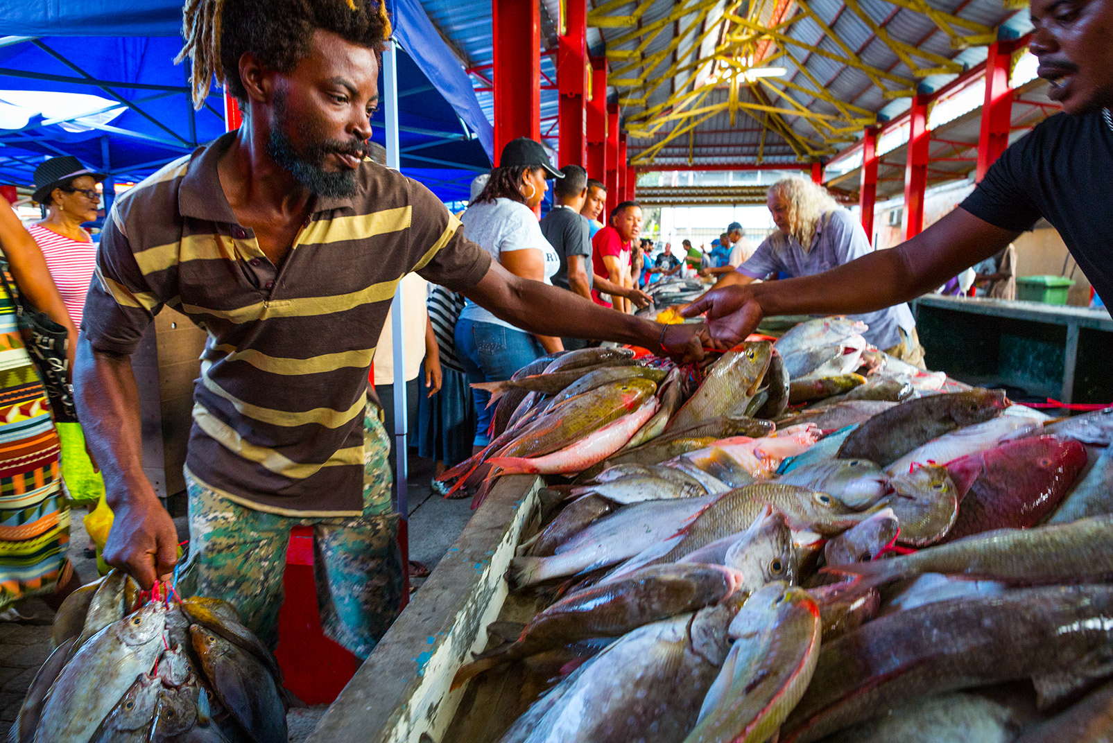 Victoria Market, Houston says, was bustling and dynamic every day of the week. There fishermen, like the man on the left, load their fish onto stands in the morning. “The connection to local fresh fish is just part of Seychelles culture,” Houston says. Local and artisanal fishing is even written into the country’s constitution. Photo © Jason Houston 
