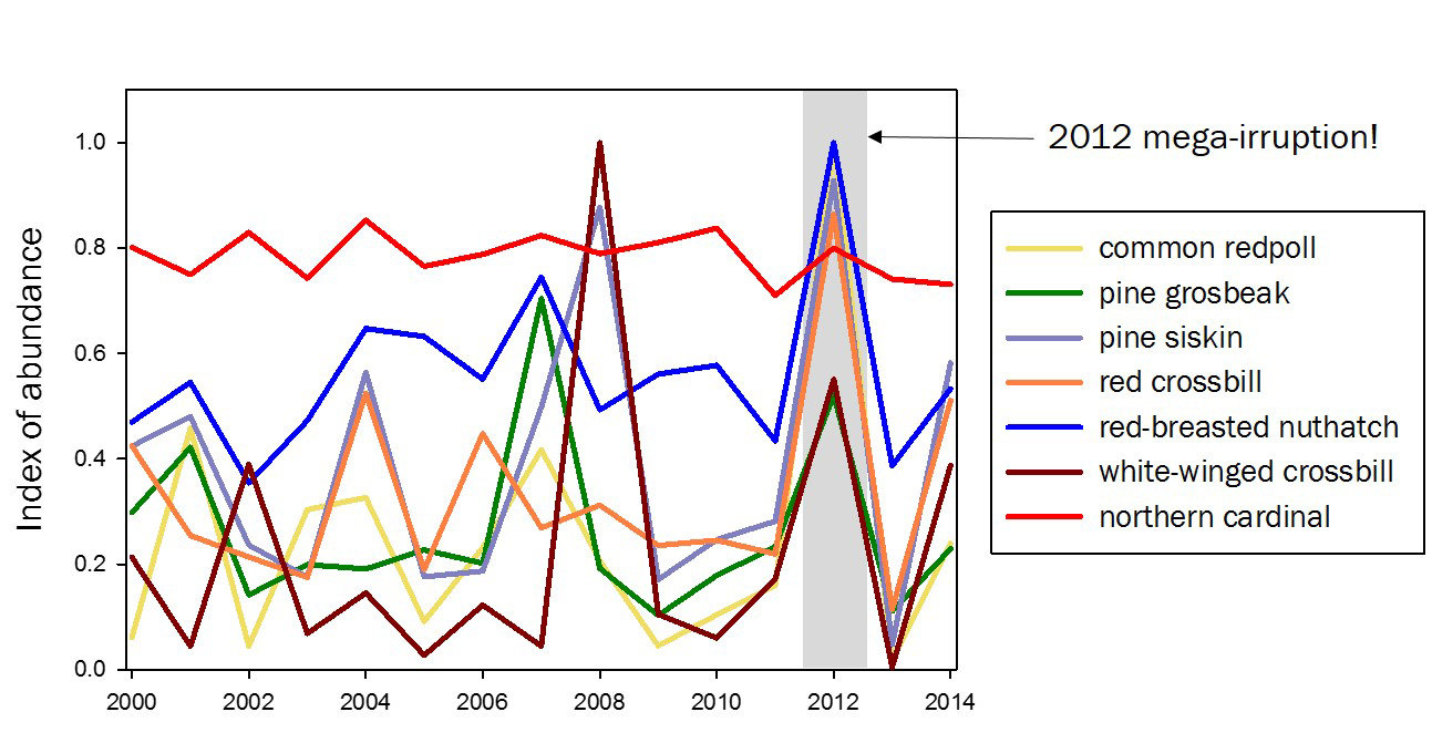 The annual Christmas Bird Count show the up and down pattern of abundance for irruptive songbird species. For comparison, northern cardinal is shown as an example of a resident species that displays a more stable pattern of abundance over time. Note how the peaks for more than one species sync in some years and also note that six species synced at once in 2012, a mega-irruption. 
