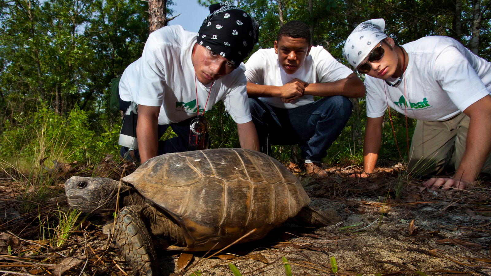 LEAF interns conduct gopher tortoise monitoring—which includes locating, measuring and marking burrows—at TNC’s Charles Harrold Preserve in eastern Georgia. Photo © Karine Aigner