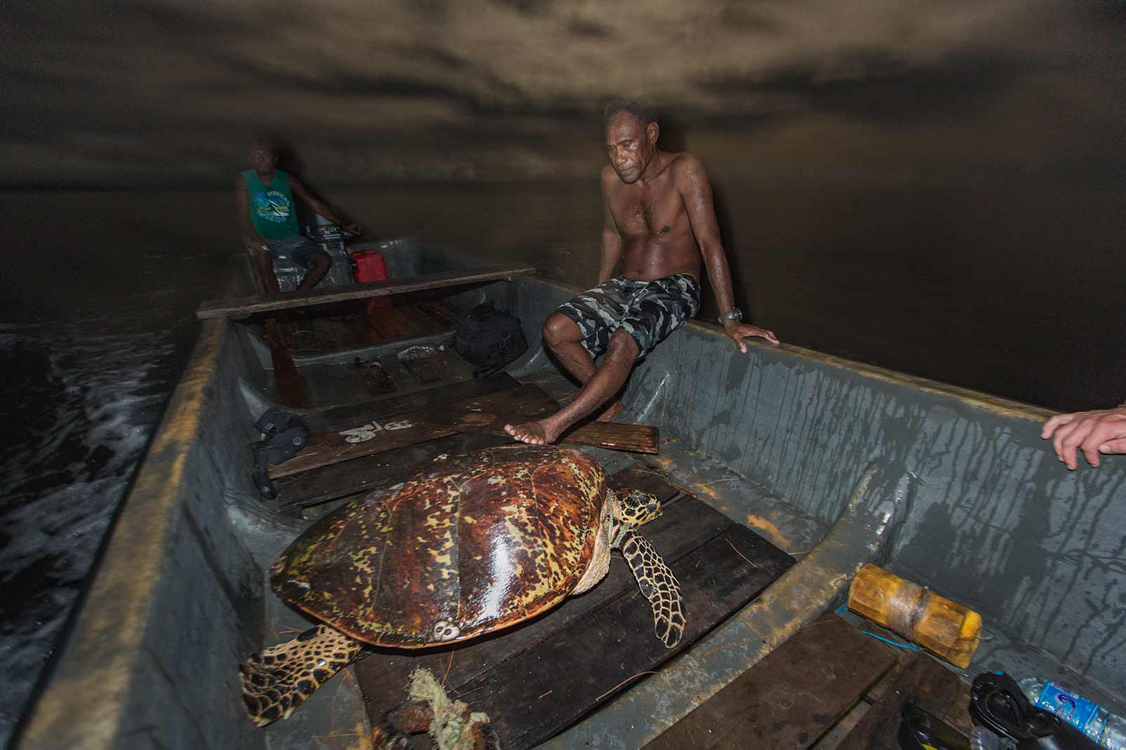 “The turtles come up on the beach at night to lay their eggs,” Calver says. Here Michael Gninigele brings an adult hawksbill sea turtle back to the station to note its vital signs before attaching a transmitter to its shell. The adult sea turtles grow to be massive—this one’s shell was four or five feet long, Calver says, and it weighed hundreds of pounds. By noting the animals’ measurements and general health, the researchers can better monitor the health of the population. Photo © Tim Calver