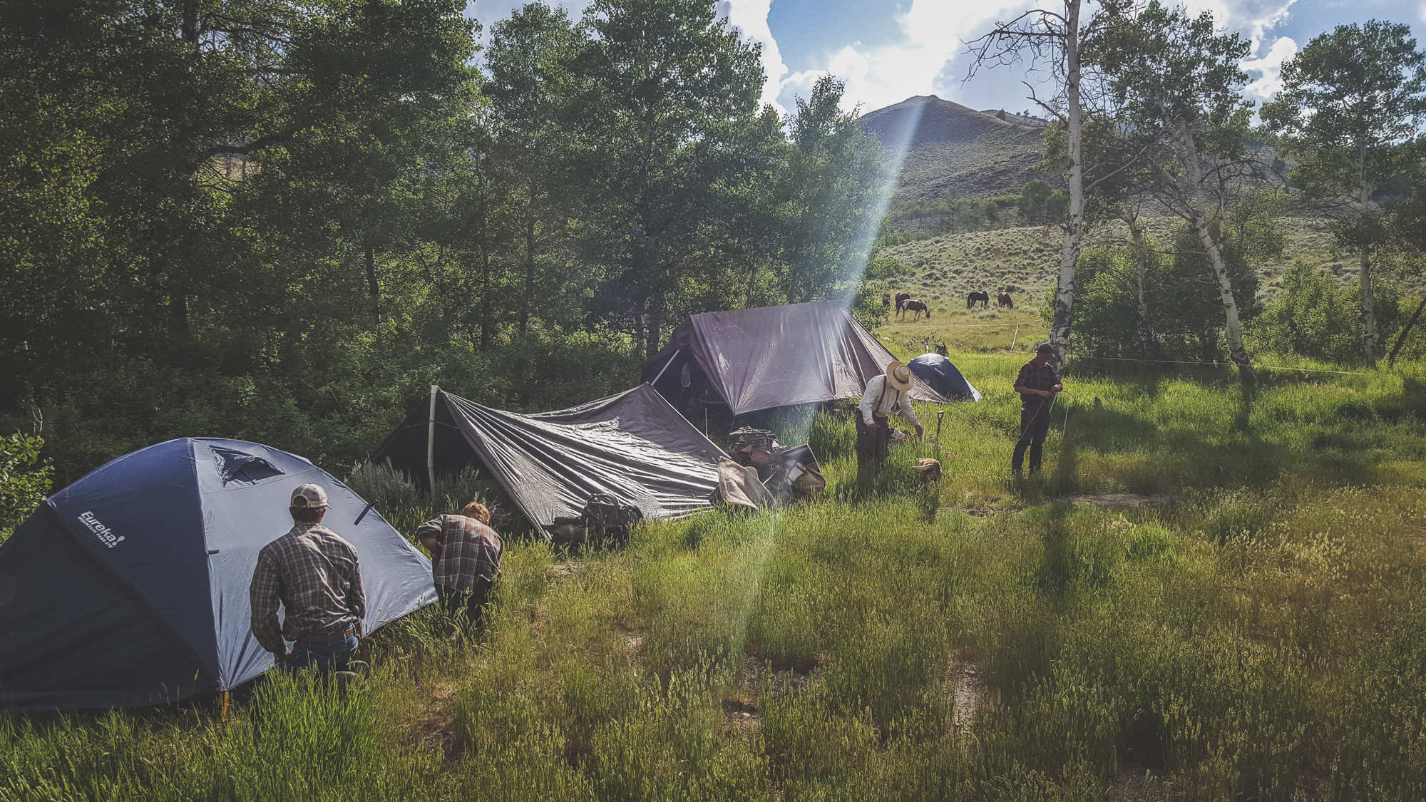 The Alderspring Crew setting up Camp Tex. It's the fourth camp on a summer journey where each steer walks an average of 650 miles. Photo © Glenn Elzinga