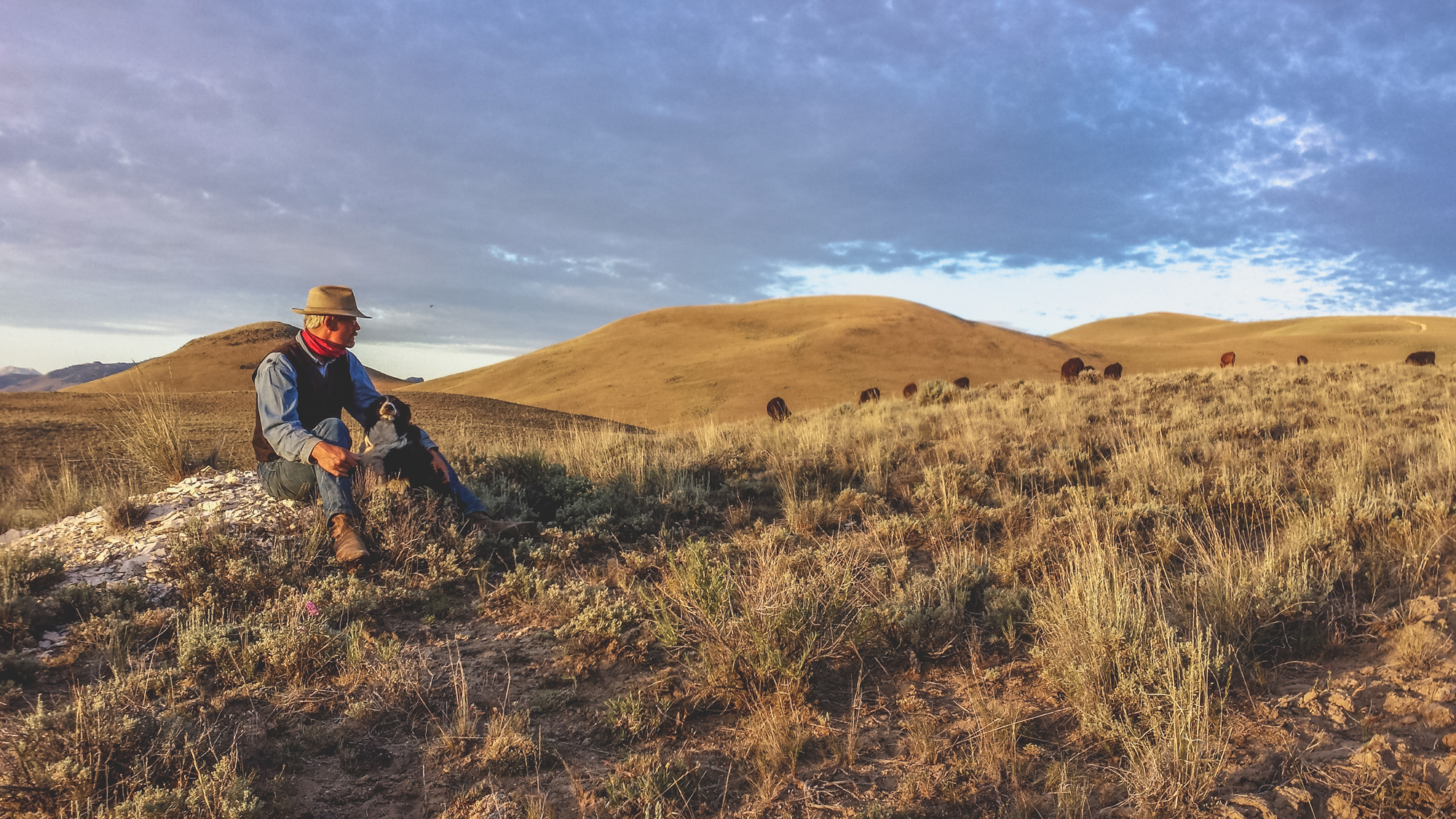 Glenn takes a break from the saddle with Gyp, his trusty border pup as the herd picks their way across Bear Basin. Photo © Melanie Elzinga