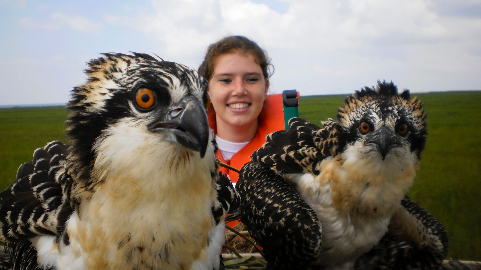 A LEAF intern examines fledgling osprey. Photo © The Nature Conservancy
