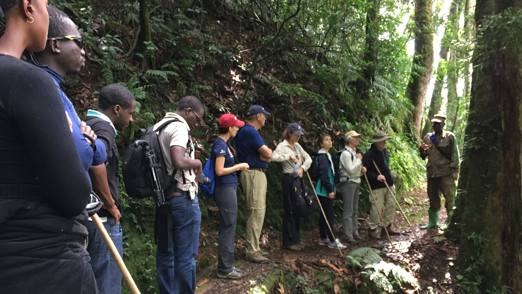 Rwandan and foreign tourists enjoy a guided tour of the pristine montane rainforest of Nyungwe National Park. Photo © Jensen Montambault/SNAPP/The Nature Conservancy