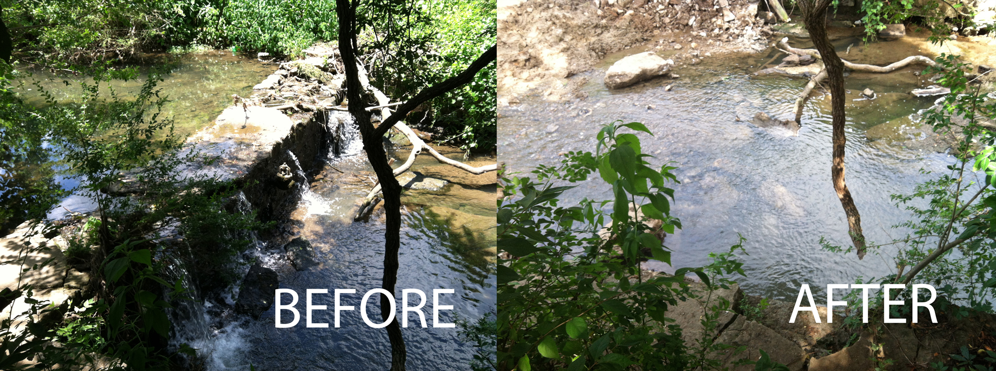 Sevenmile Creek dam before and after removal. Photo © The Nature Conservancy (Paul F. Kingsbury)