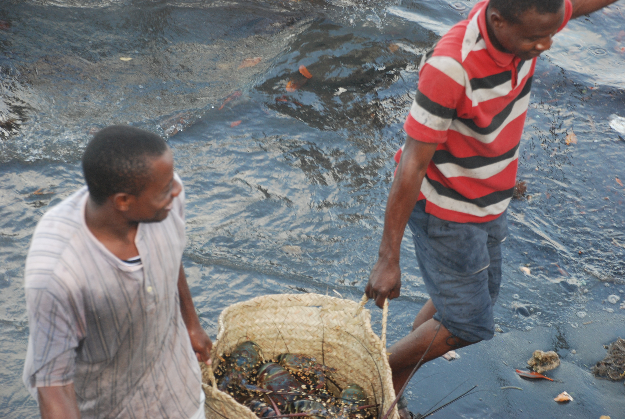 Lamu fishermen with a lobster catch. © Revaz Ardesher/flickr