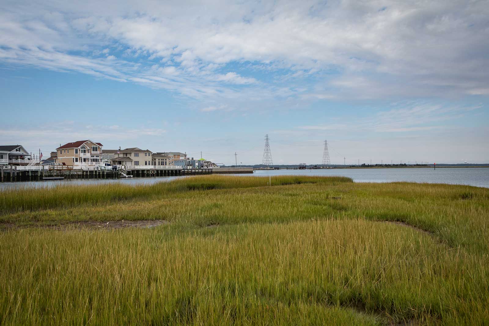 image shows houses behind a vegetated coastal wetland (marsh) 