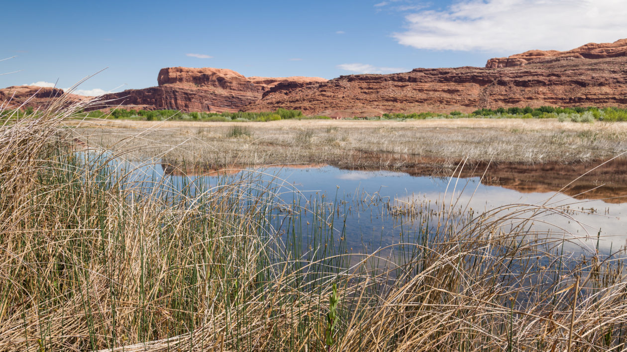 red cliffs, river and wetland