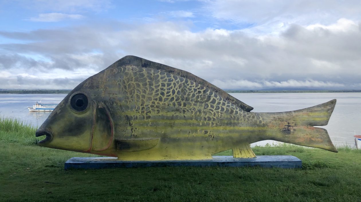 large fish statue by river