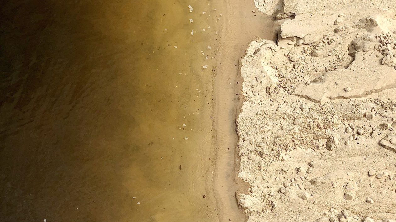 sand and brown water