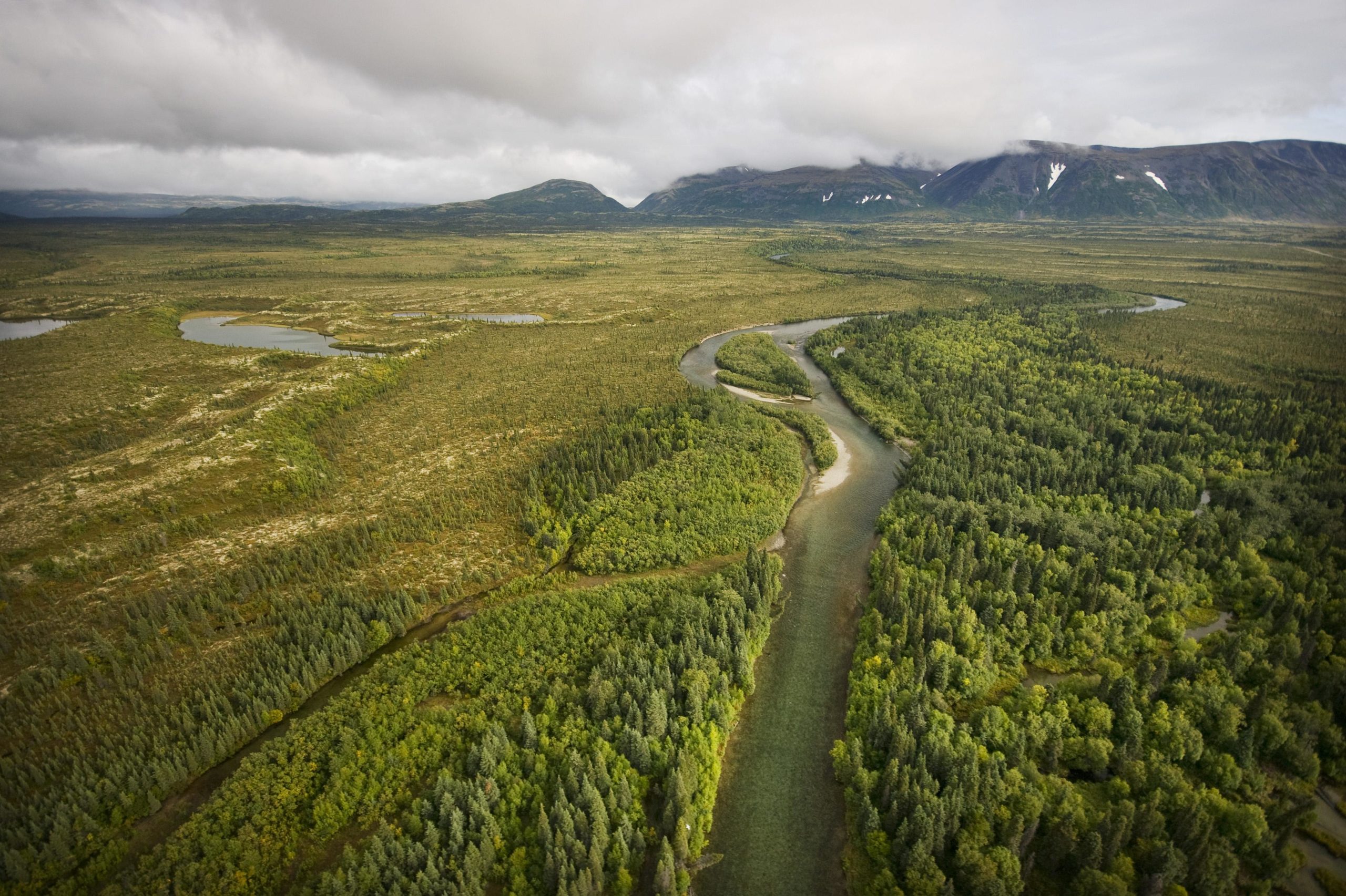 aerial view of forest, river and distant mountains