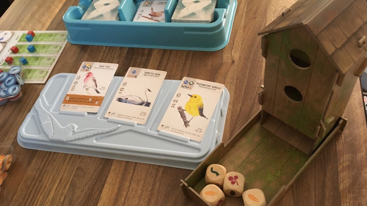 close up of game cards with birds on them
