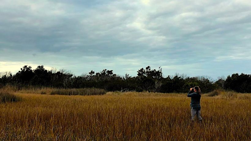 woman in a marsh holding binoculars