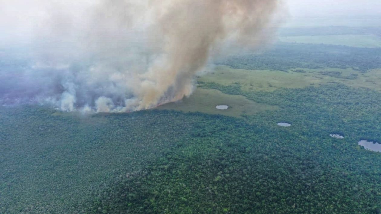 aerial view of a forest and smoke