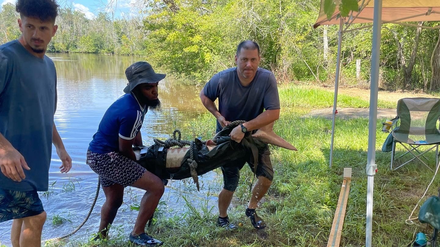 two men carry a large fish up a riverbank