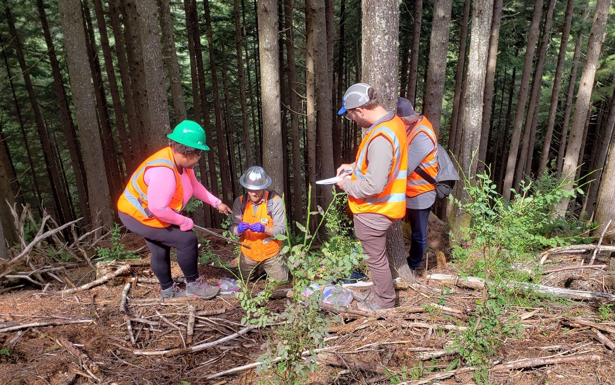 four people wearing safety vests standing on a forest
