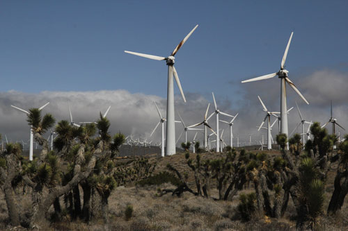 Wind farm in the Mojave Desert Wind farm in the Mojave Desert