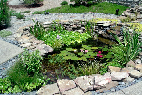 water-garden-500x333