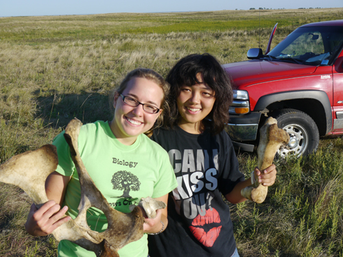 Student Bison Researchers