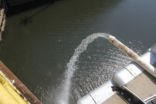 Can a PVC pipe with running water help restore a migratory fish population? Matt Miller/TNC