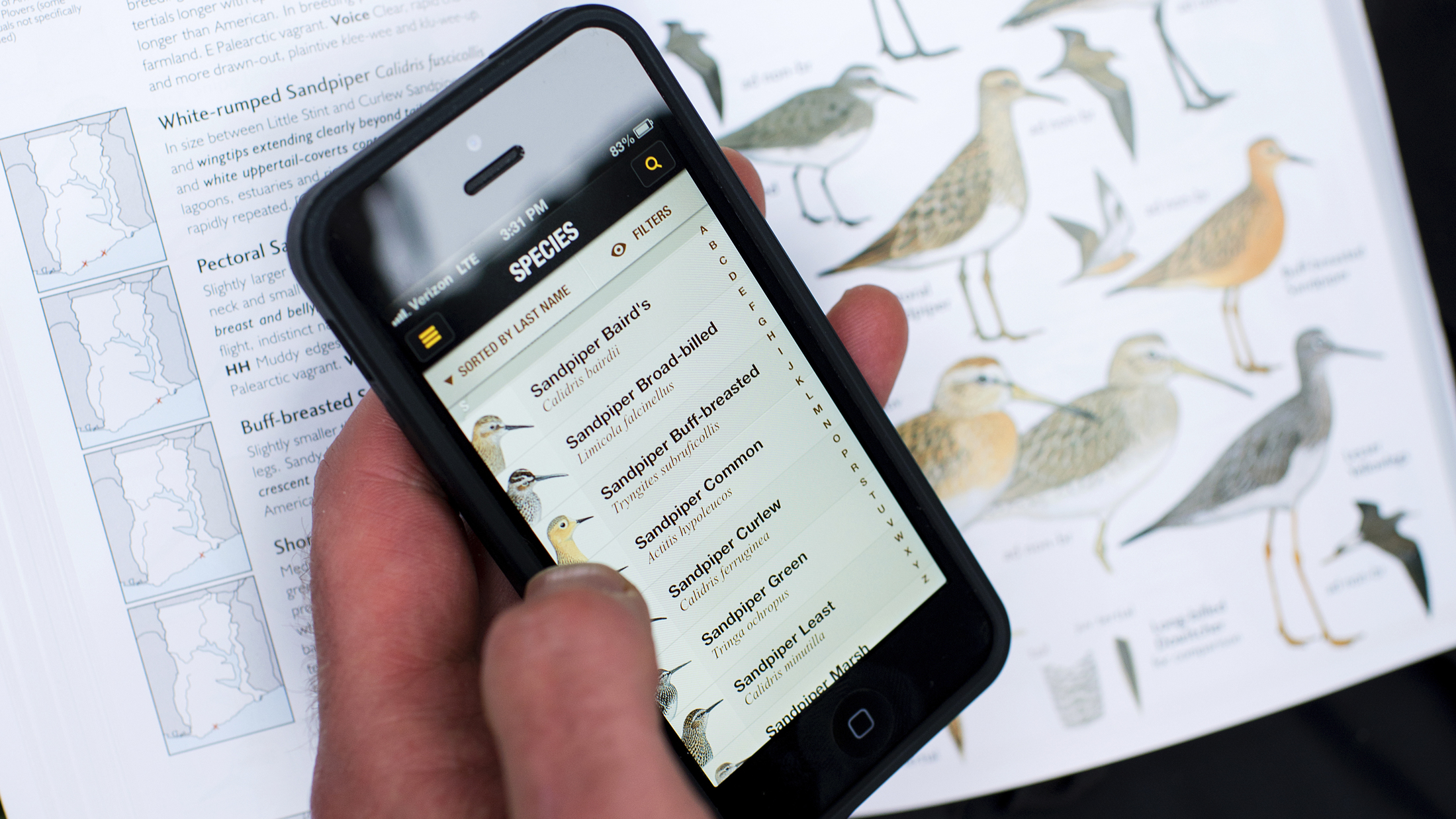 Discover the Best Birdwatching Apps and Field Guides: A Comprehensive Guide