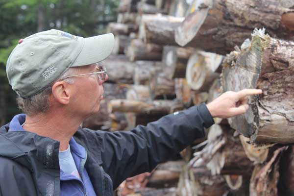 Forester Keith Rush examines young growth wood at a Prince of Wales Island sawmill. Photo: Matt Miller/TNC