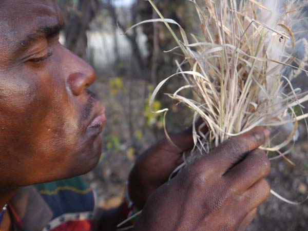 A Hadza hunter uses dried grass to start a smoldering fire that will be used to flush bees out of a hive. Photo: Matt Miller/TNC