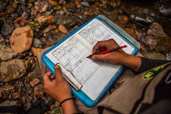 Detailed notes are kept on stream habitat conditions. Photo: Erika Nortemann/TNC