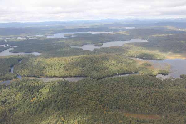 The Adirondacks is a huge and ecologically intact landscape, but invasive species can still make inroads. Photo: Matt Miller/TNC