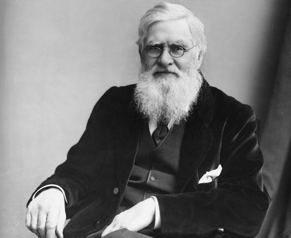 Alfred Russel Wallace c. 1895. Photo by London Stereoscopic & Photographic Company now in the public domain.