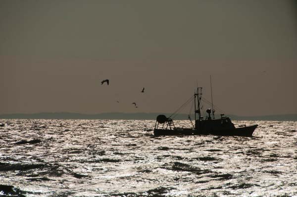 A commercial trawler motors across Massachusetts Bay. Photo: John Clarke Russ