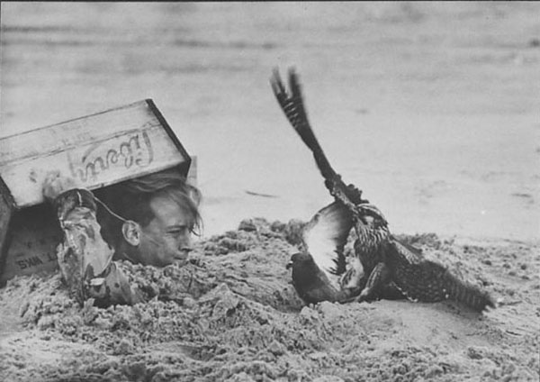 Face to face with a falcon, Brian McDonald heaves out of the sand.