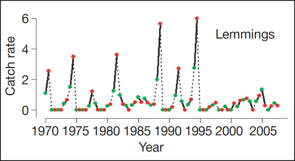 Lemmings' mysterious population cycle may finally have an explanation 