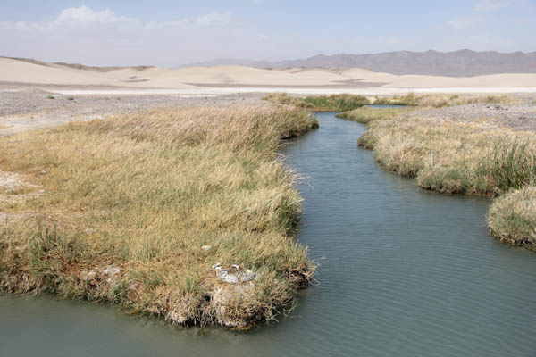 The Amargosa River project typifies The Nature Conservancy's approach. Photo: Matt Miller/TNC